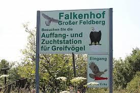 Falkenhof Großer Feldberg