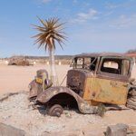 Café&Bistro MiddeNoi