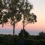 Steakhouse Pizzeria Maxima Samir Moussa