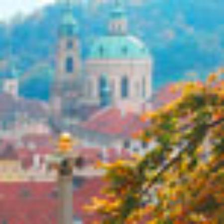 Sakura Sushibar & Asiakuche