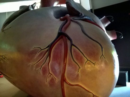 Kinder-Akademie Fulda