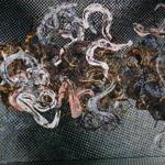 Immergruen Skyline Plaza