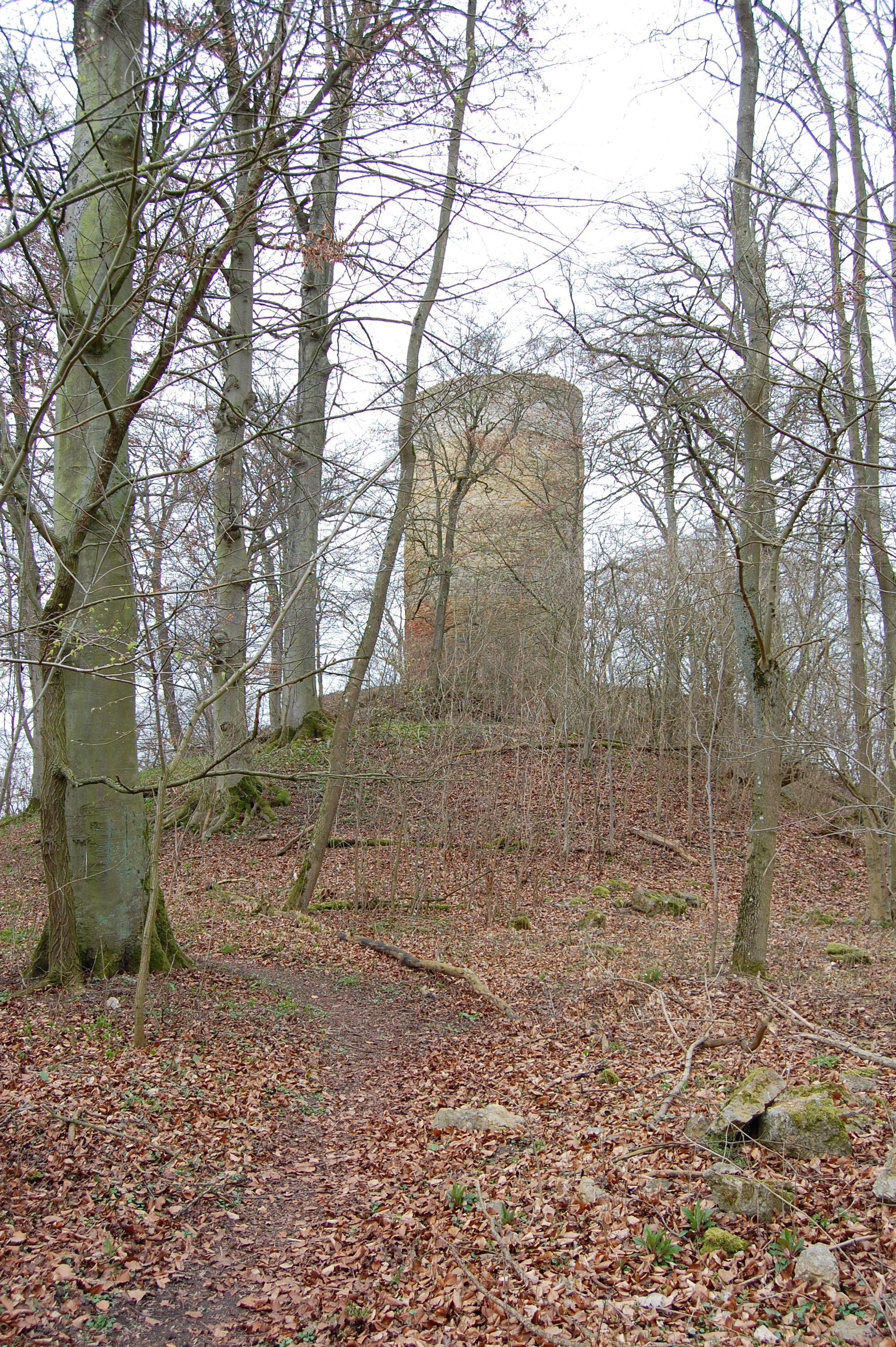 Burgruine Schartenberg