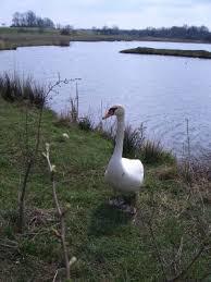 Naturschutzgebiet Glockenborn