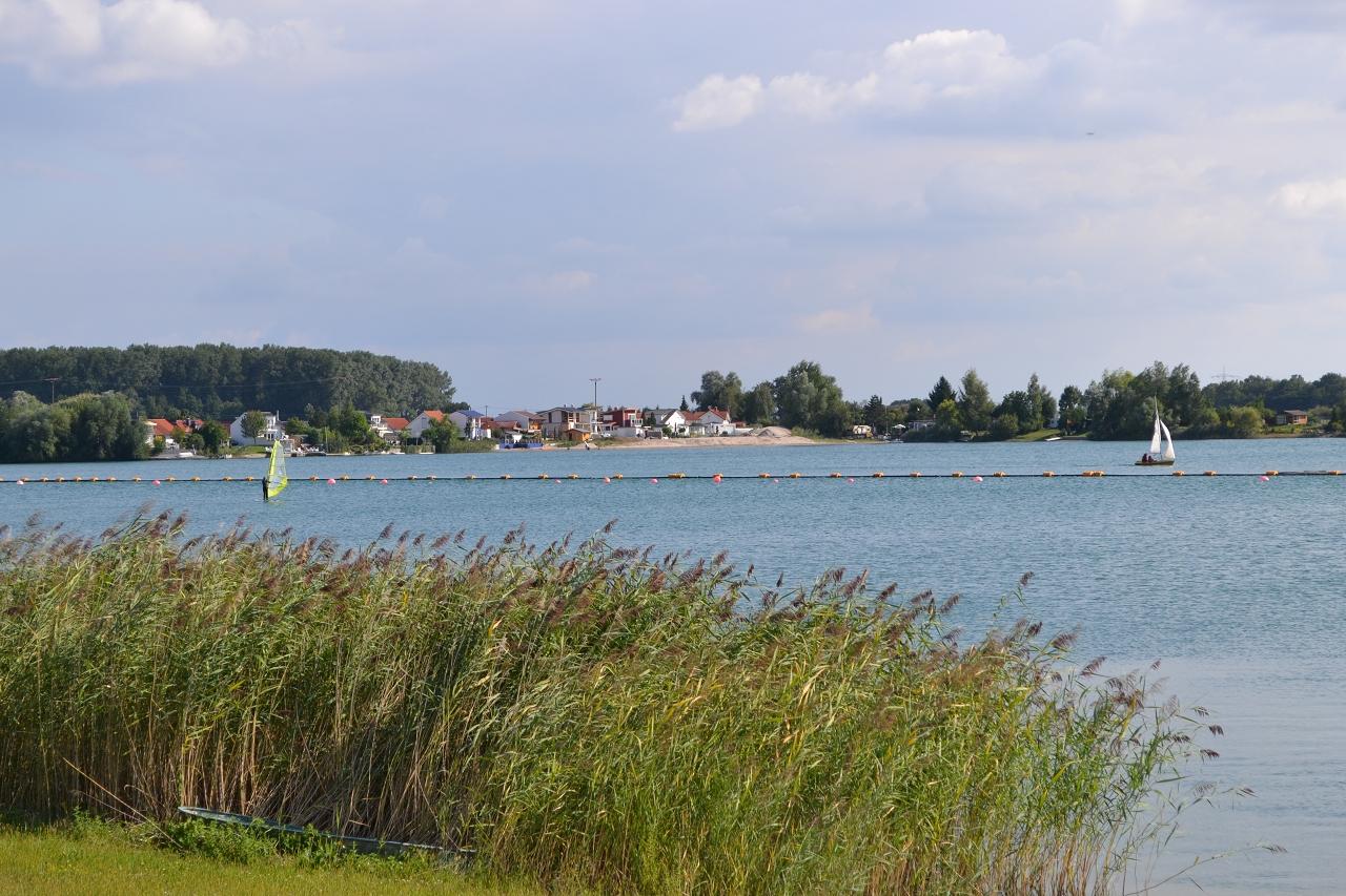 Riedsee bei Biblis