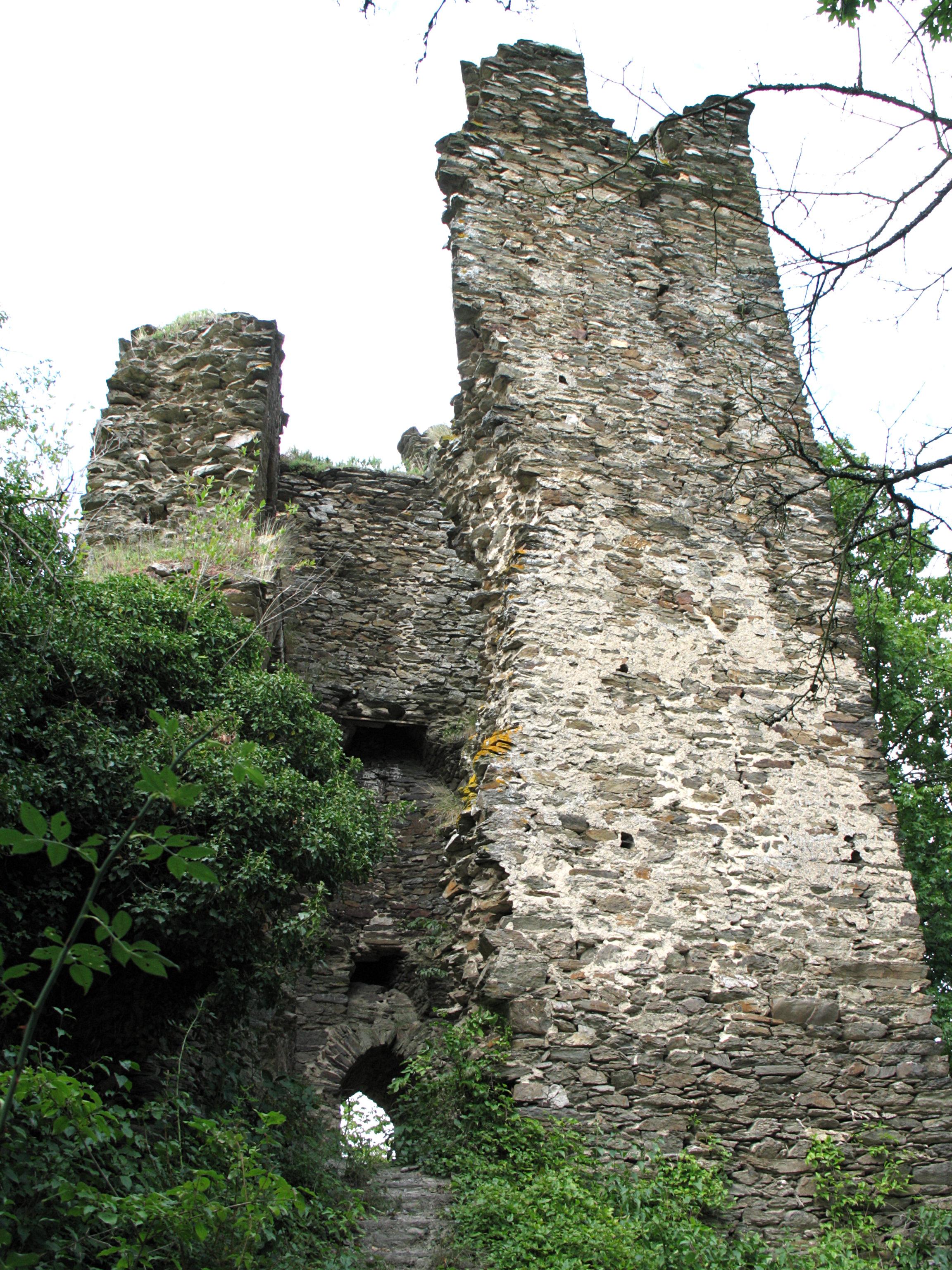 Burg Rheinberg