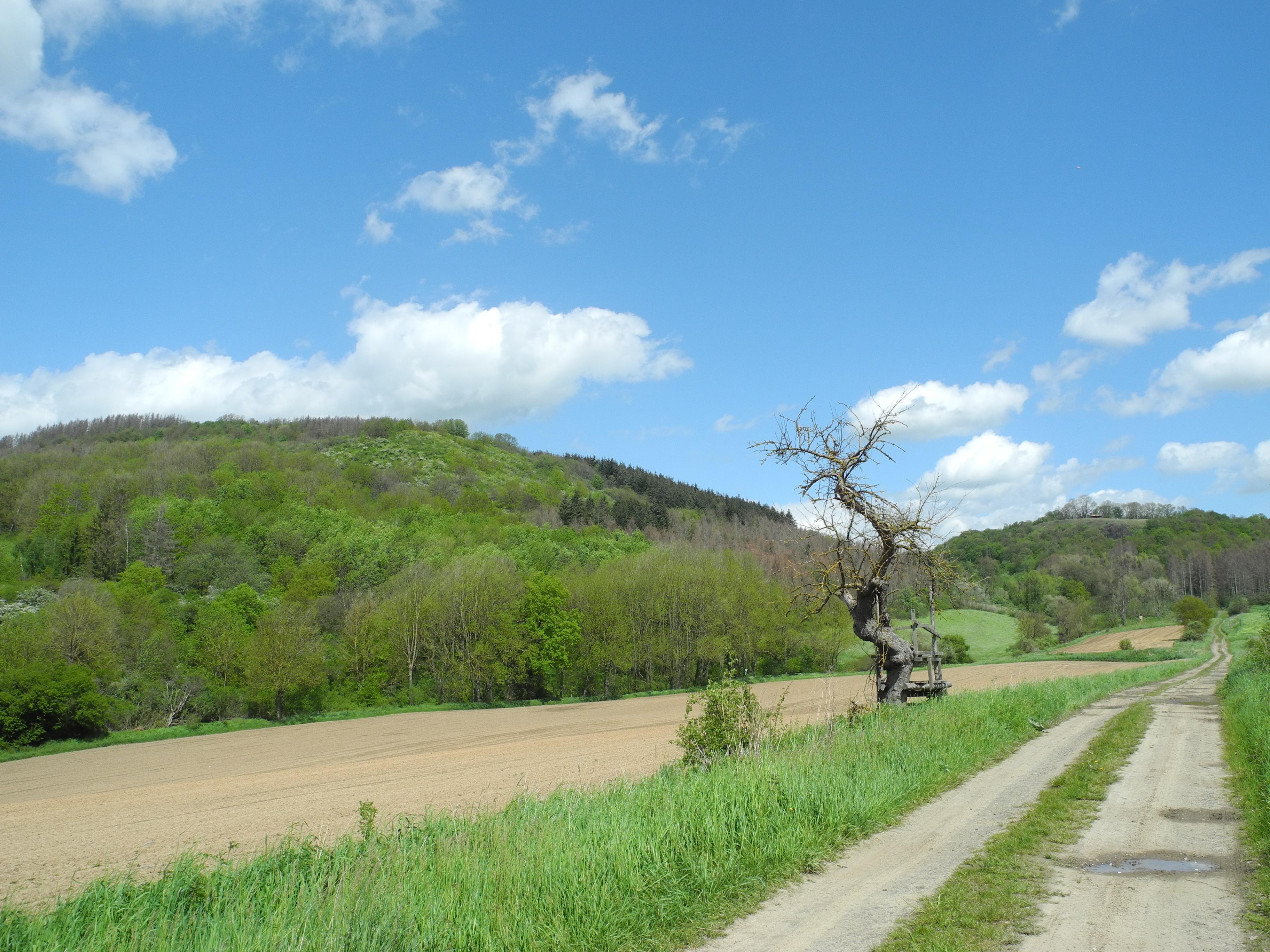 Mosenberg bei Homberg