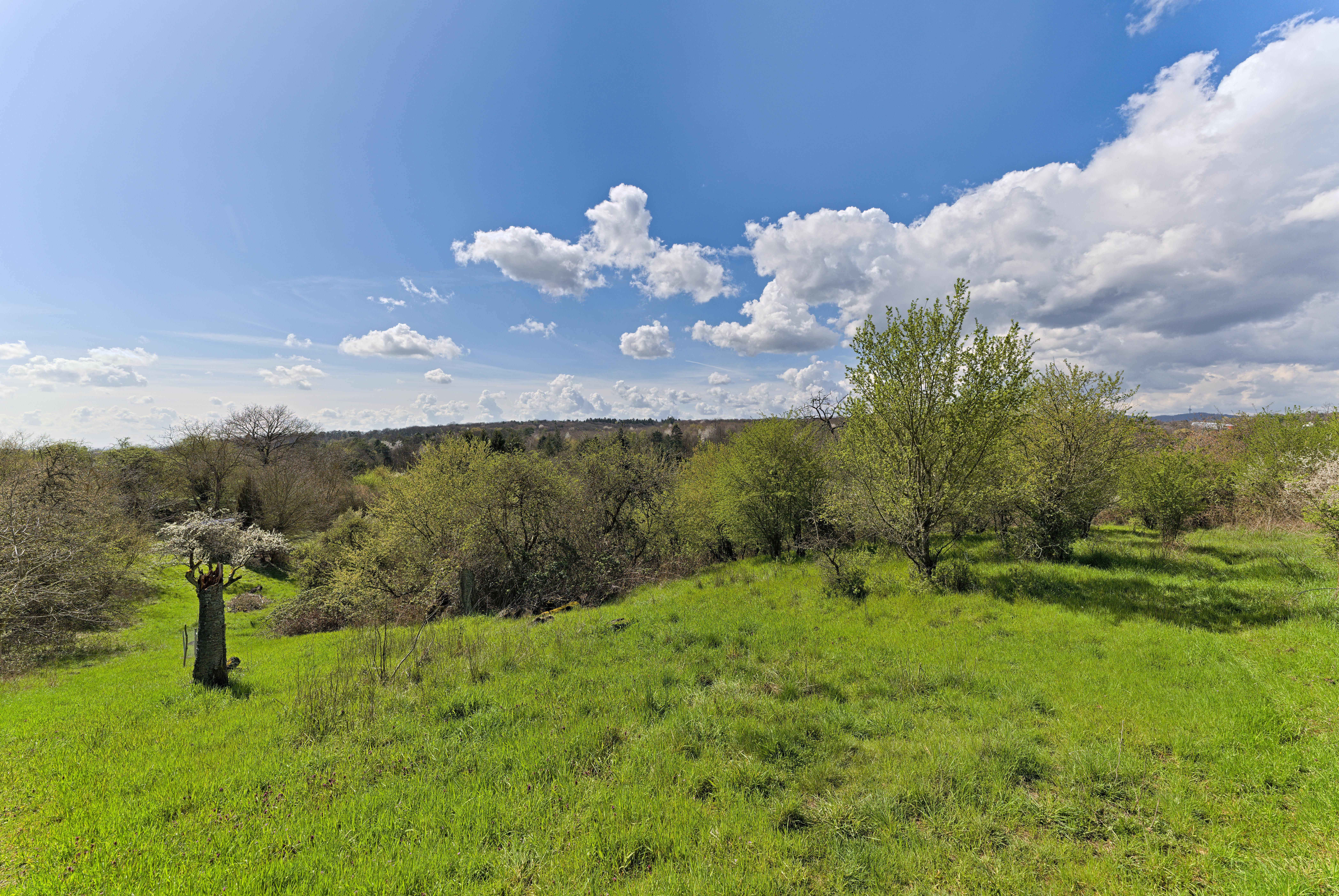 Unteres Altenhainer Tal bei Bad Soden