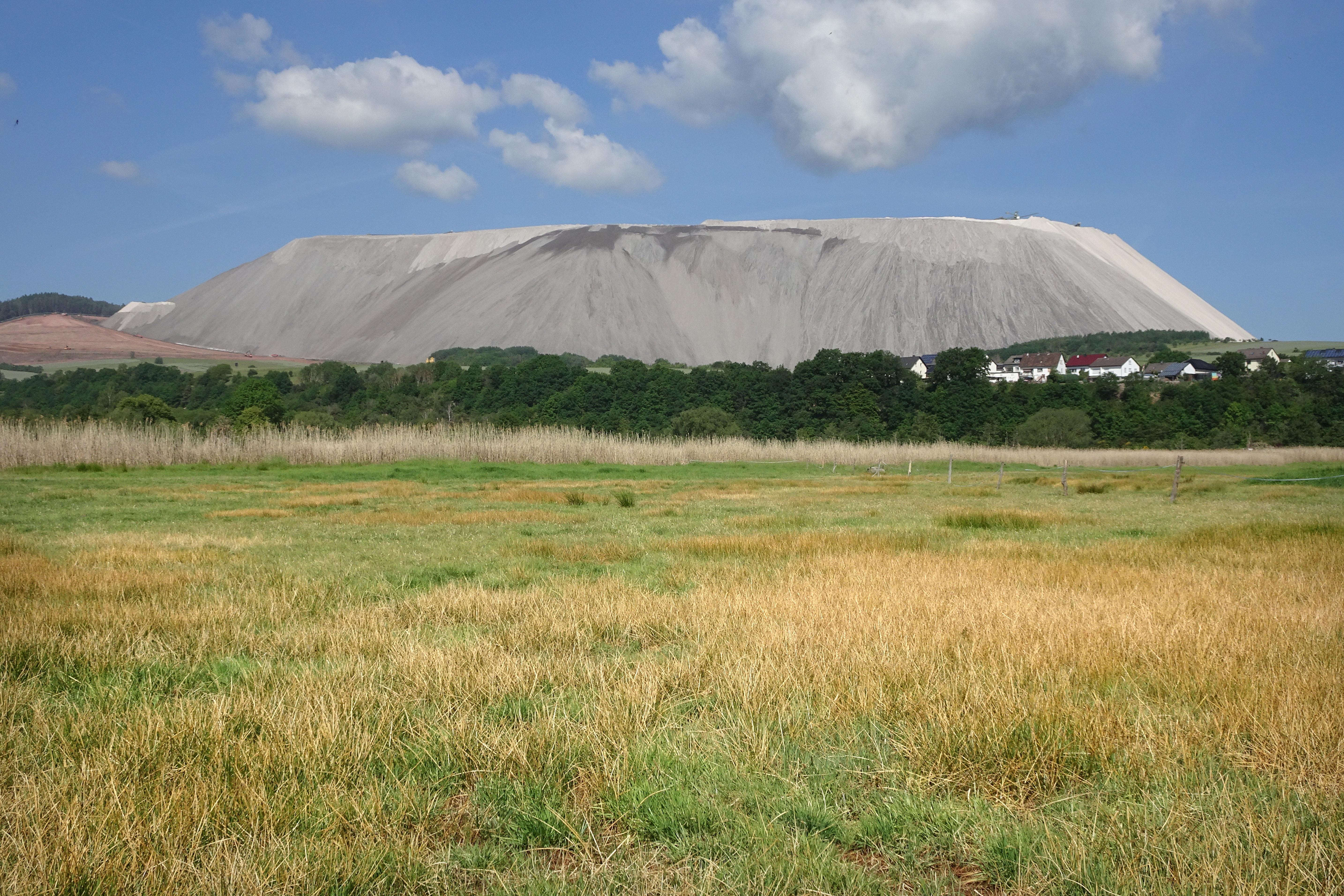 Rohrlache von Heringen