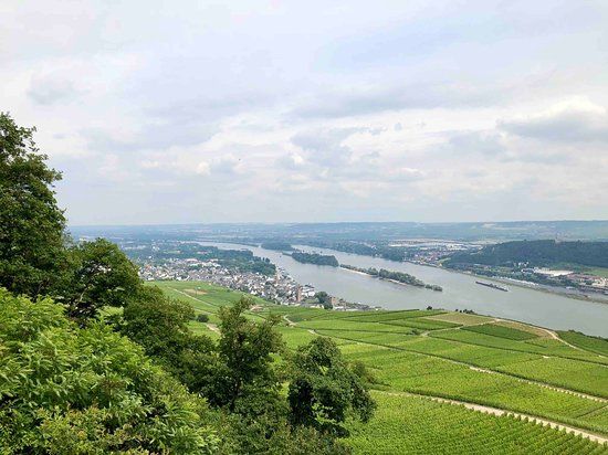 Adlerwarte Niederwald