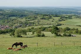 Naturpark Hoher Vogelsberg