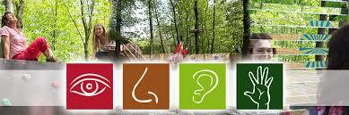 Galileo Erlebniswald der Sinne