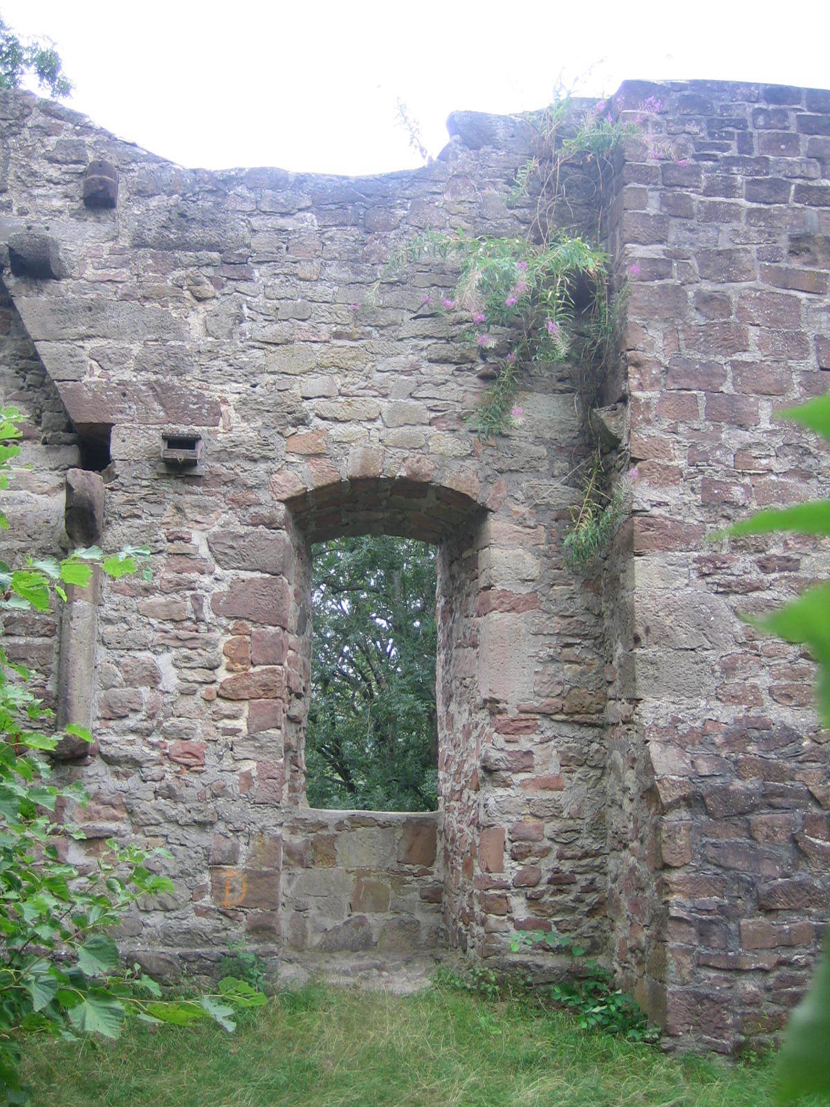 Burgruine Falkenstein