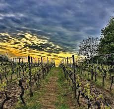 Hessische Bergstraße