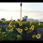 Pizza Pasta Fantastico